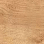 145-Quercia Irlandese